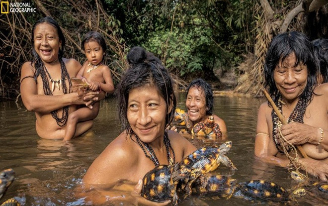 Bộ tộc cho động vật bú sữa như em bé đang đứng trước nguy cơ tuyệt chủng Ảnh 2