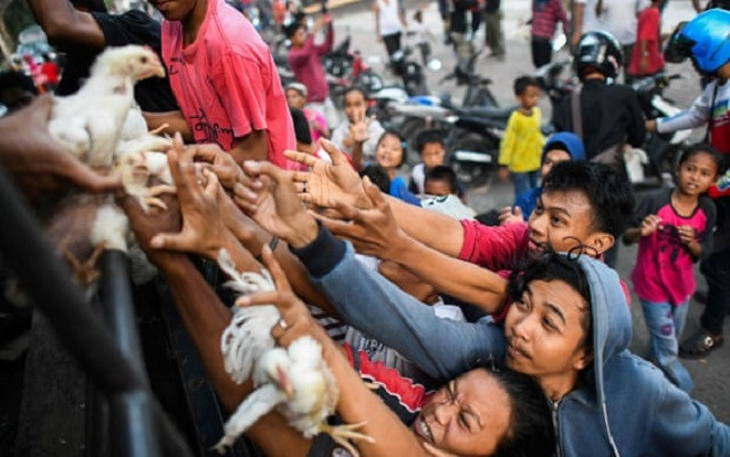 Tình cảnh tuyệt vọng của người dân Indonesia sau động đất: 'Lúc này có tiền cũng vô dụng vì chẳng còn thứ gì để mua' Ảnh 2