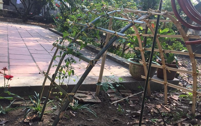 Ông bố vạn người mê: 60 tuổi vẫn giặt quần áo, nấu cơm và nhảy múa cho con gái vui Ảnh 2