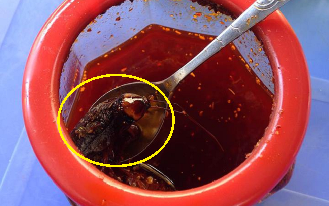 Đi ăn bánh đa múc phải con gián to vật vã trong lọ ớt, cô gái vẫn điềm tĩnh ăn hết 1/3 bát khiến hội chị em choáng váng Ảnh 2