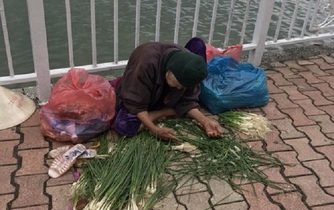 Cụ bà đôi tay run run ngồi nhặt hành lá ở cạnh bờ hồ giữa tiết trời mưa gió khiến nhiều người không cầm được nước mắt Ảnh 2