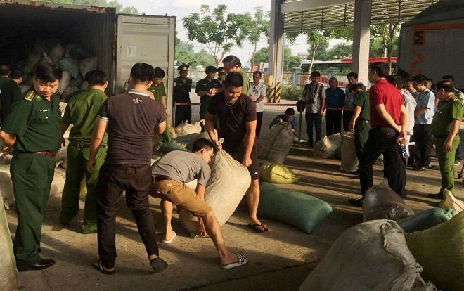 Đà Nẵng: Bắt giữ 10 tấn ngà voi, vẩy tê tê nhập lậu vào cảng Tiên Sa Ảnh 2