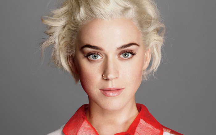 'Witness' thất bại từ album đến tour: Katy Perry quyết định tạm dừng sự nghiệp để hồi phục Ảnh 2