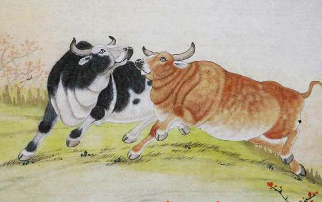 4 con giáp bị xui xẻo đeo bám, tiểu nhân liên tục quấy phá trong cuối năm 2018 Ảnh 2