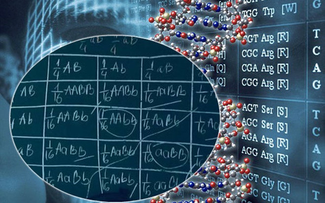 Không ai nghĩ môn Sinh khó đến thế cho đến khi nhìn lại loạt công thức tính toán di truyền gen kinh điển này Ảnh 2