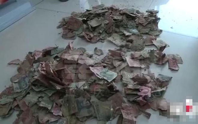 Bán rau 10 năm tích được 100 triệu, lão nông khóc ròng vì tiền bị chuột 'xơi tái' Ảnh 2