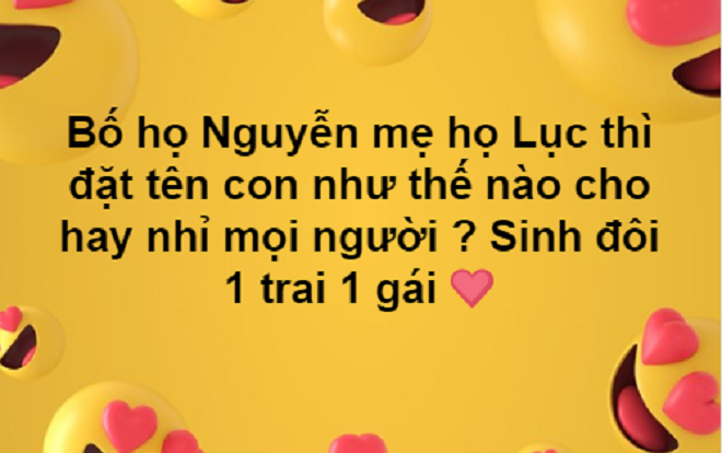 'Liều mình' nhờ dân mạng đặt tên cho cặp con sinh đôi 1 trai 1 gái, ông bố họ Nguyễn có vợ học Lục bị troll tới bến Ảnh 2