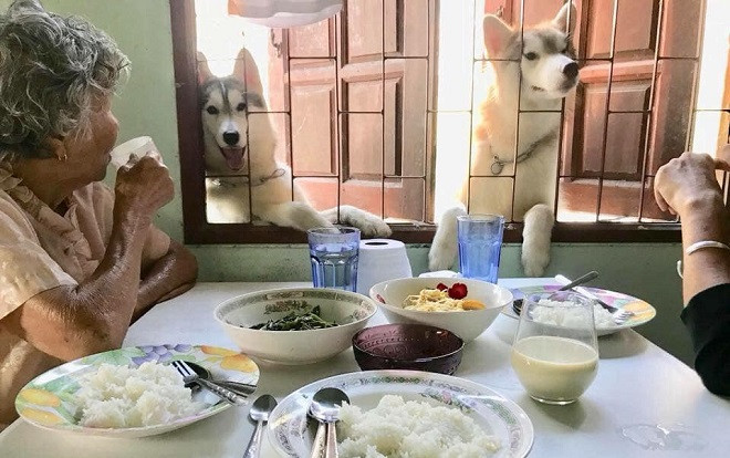 Đang ăn trưa ngon lành, 2 'con ngáo' xuất hiện ăn xin khiến 2 bà cụ giật mình Ảnh 2