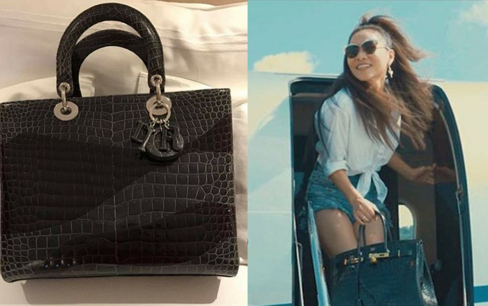 Cưng vợ như chồng Thu Minh, 'săn' bằng được túi cá sấu hàng hiếm để tặng vợ lúc nửa đêm Ảnh 2