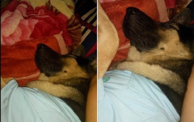 Se lạnh đang ôm chồng ngủ thì bị 'kẻ thứ 3' xen ngang, cô vợ ấm ức đăng đàn trút giận Ảnh 2