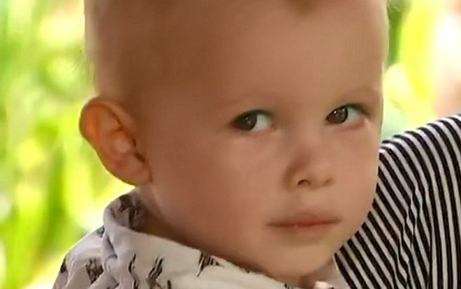 Hãi hùng cảnh người mẹ giành lại con 22 tháng tuổi từ miệng trăn khổng lồ Ảnh 2