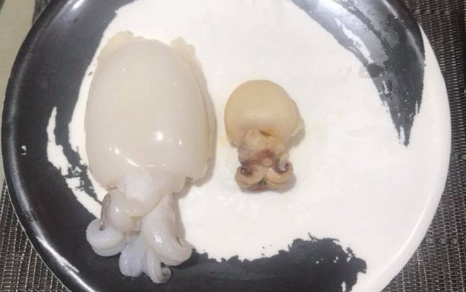 Hí hửng thấy đĩa mực to cắn 'ngập chân răng', cô nàng tiu nghỉu ngay lập tức khi thấy sản phẩm Ảnh 2