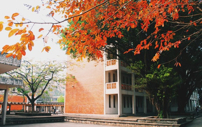 Cận cảnh vẻ đẹp lãng mạn của ĐH Quốc gia Hà Nội - Ngôi trường chiếm vị trí cao nhất ĐH Việt trong 2 BXH uy tín thế giới gần đây Ảnh 2