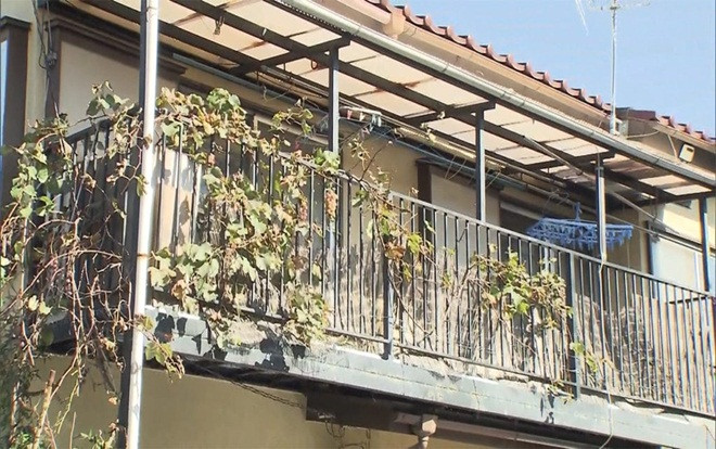 Phát hiện 2 hài cốt trẻ sơ sinh trong căn hộ ở Nhật Bản Ảnh 2