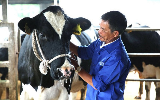 Sống trên đỉnh núi: Đẳng cấp 4.0, khối tiền 30 tỷ, Việt Nam có mấy ai Ảnh 2