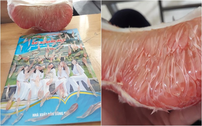 Khi bạn chỉ có một múi bưởi nhưng lại muốn chia cho cả lớp và phương án đầy bất ngờ khiến dân mạng phục sát đất Ảnh 2