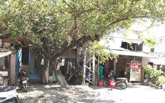 Cãi vã xô xát trong cuộc nhậu, dùng dao đâm bạn tử vong Ảnh 2