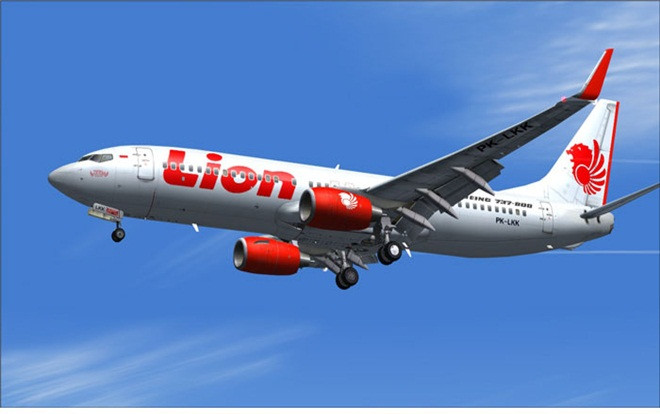 NÓNG: Máy bay chở 189 người rơi ở Indonesia Ảnh 2