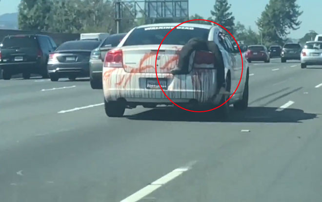 'Xác chết' sau xe ô tô trong ngày Halloween khiến nhiều người hoảng hồn Ảnh 2