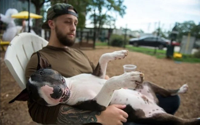 Những công việc nhẹ lương cao cực hợp với du học sinh: Chơi với chó và ngủ thôi cũng kiếm cả trăm USD Ảnh 2