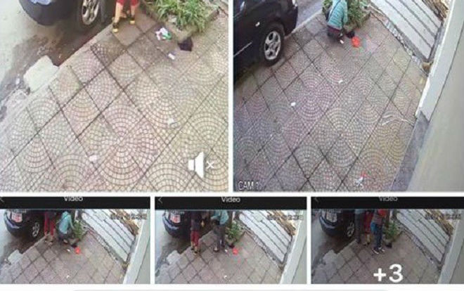 Chủ nhà tố 3 phụ nữ đi ô tô dừng trước cửa bê luôn chậu cây nha đam rồi thong dong đi chợ gây tranh cãi cộng đồng mạng Ảnh 2