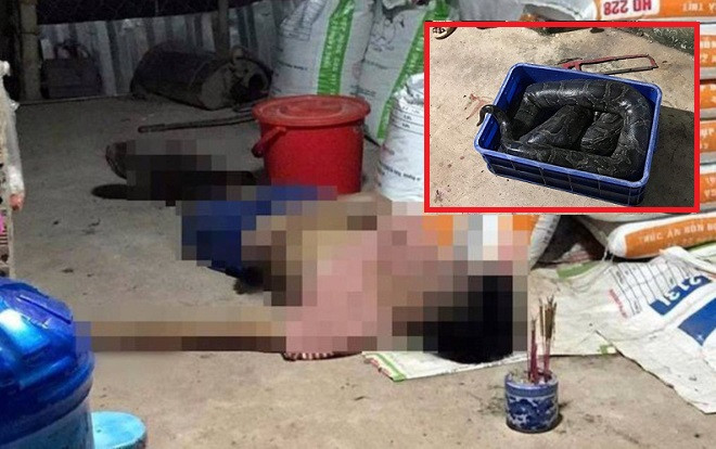 Vụ nam thanh niên bị con trăn siết cổ đến chết: Nhiều khả năng nạn nhân bắt ra chơi, trăn trở chứng Ảnh 2