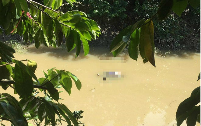 Tá hỏa phát hiện thi thể người phụ nữ nổi trên mương nước trong vườn nhãn Ảnh 2