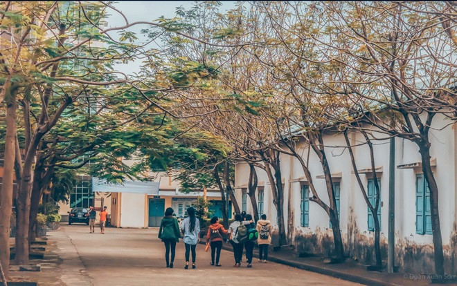 Xuất hiện ngôi trường ĐH ở Đà Nẵng cứ tới mùa Thu lại 'biến hình' thành bức tranh đẹp lộng lẫy tưởng chỉ có ở trời Tây Ảnh 2