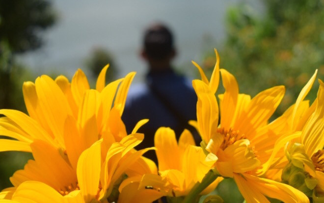 Đà Lạt - Thành phố ngàn hoa chứa đựng nghìn mảng ký ức của những cặp đôi LGBT Ảnh 2