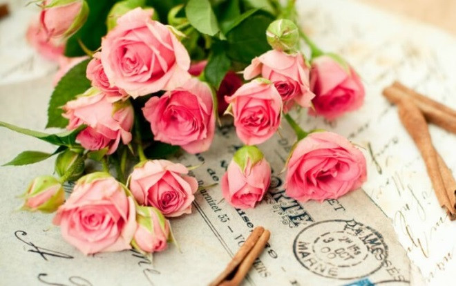 Ngày Nhà giáo Việt Nam 20-11 và những điều có thể bạn chưa từng nghe đến Ảnh 2