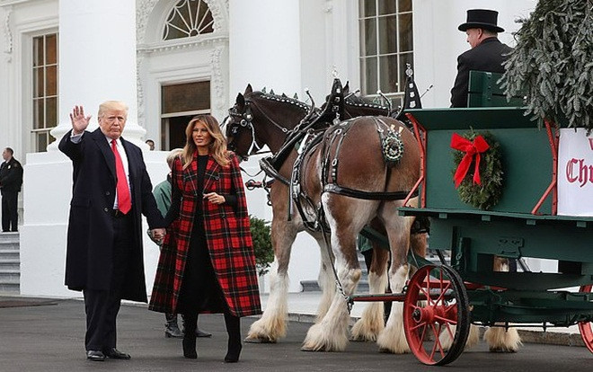 Bà Melania Trump mặc áo khoác 4.000 USD tay trong tay cùng chồng đón cây thông mùa Giáng sinh 2018 Ảnh 2