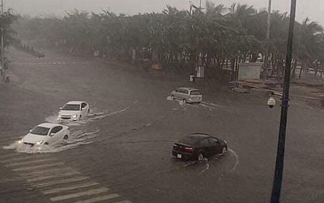 Toàn cảnh Vũng Tàu tan hoang sau cơn bão số 9, cây xà cừ hơn 100 tuổi cũng bị bật gốc Ảnh 2