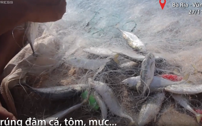 Ngư dân Bà Rịa - Vũng Tàu kiếm tiền triệu sau vài giờ đi biển Ảnh 2