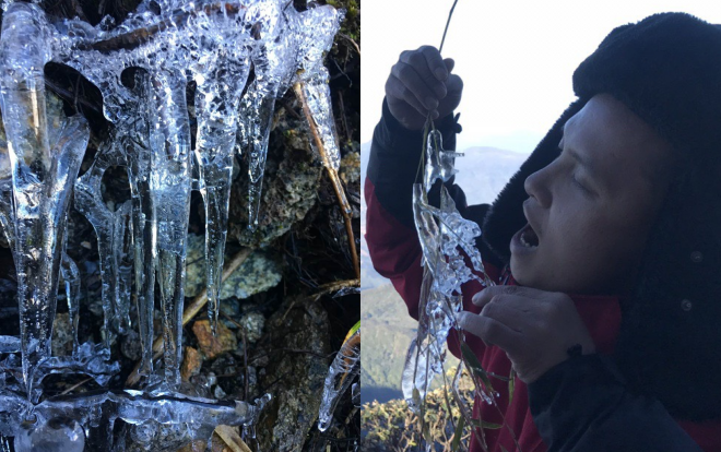 Kỳ thú băng tuyết kết trên cành cây trên đỉnh Fansipan, hàng nghìn du khách thích thú Ảnh 2