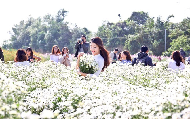 Điểm danh những địa chỉ mới để chụp ảnh với cúc họa mi đẹp nhất ở Hà Nội không phải ai cũng biết Ảnh 2
