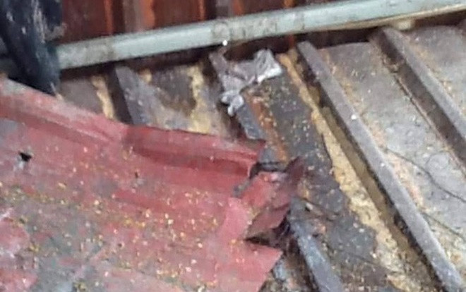 Người dân 'kêu cứu' vì bị ném mắm tôm vào nhà sau khi tố cáo sai phạm Ảnh 2