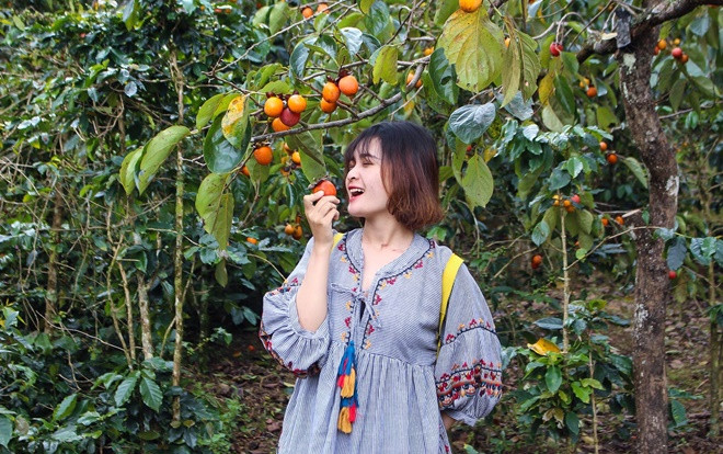 Chết cười nghe sinh viên kể khổ 'em đang nợ môn' bằng clip chế hit 'Anh đang ở đâu đấy anh' của Hương Giang Ảnh 2