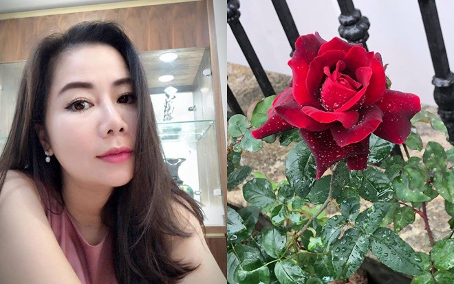 Sau tất cả, vợ đại gia kim cương tiết lộ bản thân hiện tại phải 'đeo mặt nạ để bước ra xã hội' Ảnh 2