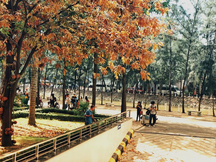 Nhân mùa phong lá đỏ, đi tìm những ngôi trường có mùa lá đổi màu đẹp nhất Việt Nam, lên hình xinh như ở trời Tây Ảnh 4