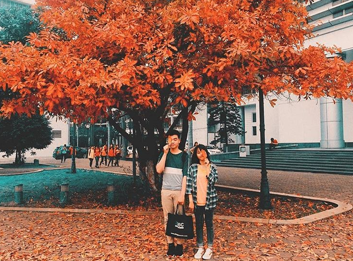 Nhân mùa phong lá đỏ, đi tìm những ngôi trường có mùa lá đổi màu đẹp nhất Việt Nam, lên hình xinh như ở trời Tây Ảnh 20