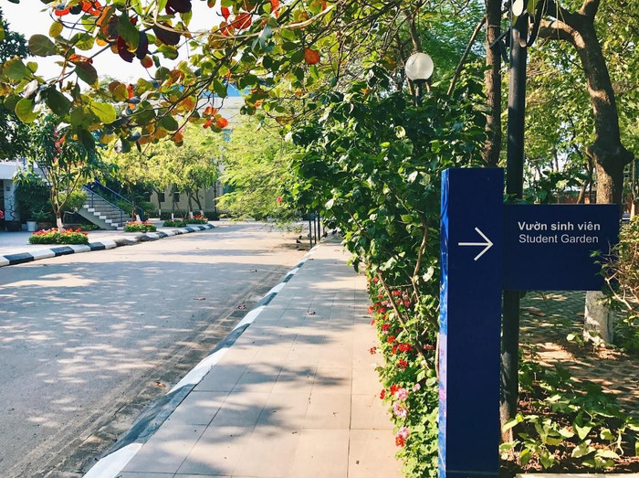 Nhân mùa phong lá đỏ, đi tìm những ngôi trường có mùa lá đổi màu đẹp nhất Việt Nam, lên hình xinh như ở trời Tây Ảnh 22