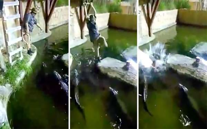 Thót tim cảnh người đàn ông bị tuột dây rơi xuống hồ cá sấu Ảnh 2