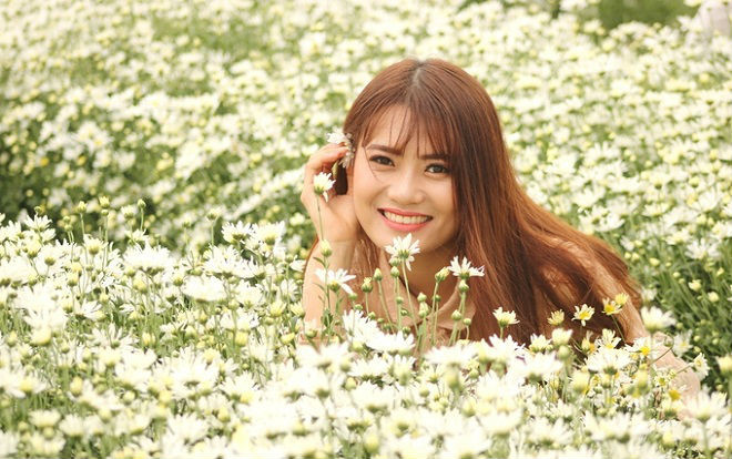 Hộ dân ở Hải Dương kiếm tiền triệu mỗi ngày nhờ vườn cúc hoạ mi Ảnh 2