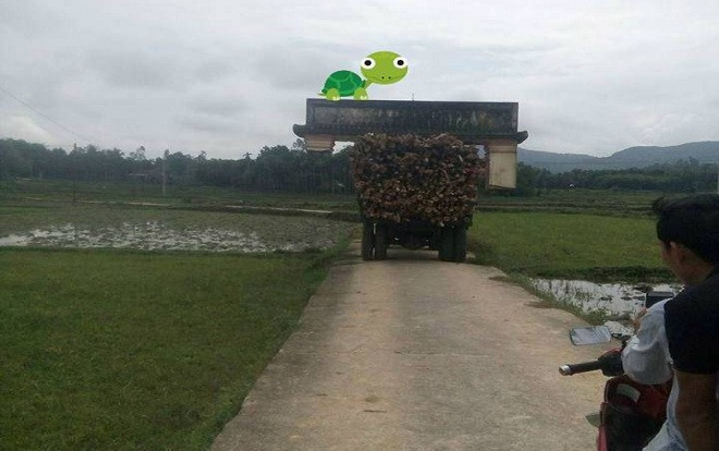 Hi hữu ở Quảng Nam: Xe công nông chở keo cuốn luôn… cổng chào của làng mà tài xế vẫn không hay biết Ảnh 2
