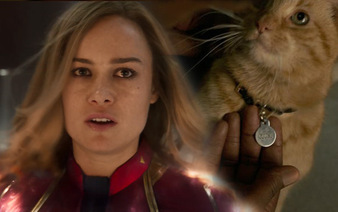Cư dân mạng phát sốt vì chú mèo trong trailer ‘Captain Marvel’ Ảnh 2