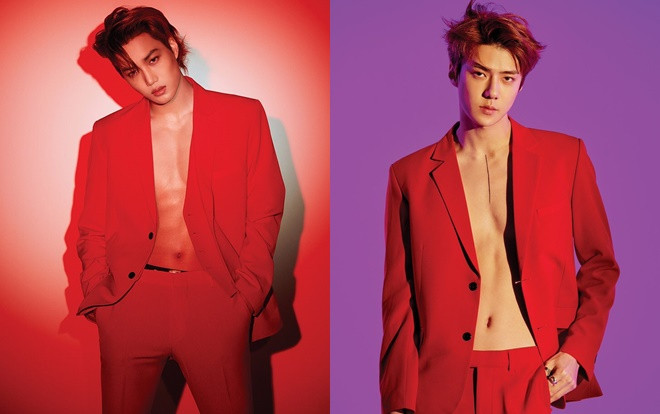 EXO tung hình ảnh teaser của Kai và Sehun: 94line bùng nổ visual! Ảnh 2