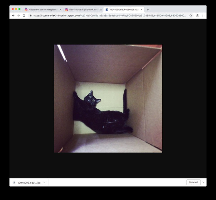 Hãy dán đường link này vào một tab khác và giờ thì bạn đã có hình ảnh mà mình cần rồi. Còn chờ gì nữa mà không click chuột phải và chọn “Save Image As…” nào? Ảnh: Business Insider