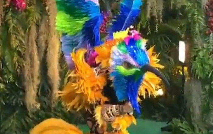 Tròn mắt kinh ngạc với trang phục dân tộc của Miss Universe Lào và Brasil Ảnh 2