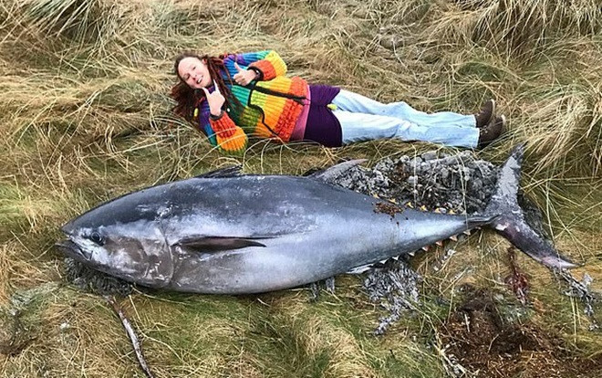 Xác cá ngừ khổng lồ gần 2 m trôi dạt bờ biển Scotland sau bão lớn Ảnh 2