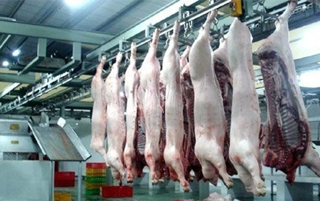 Lý giải vì sao không được giết vật nuôi trước mặt đồng loại Ảnh 2